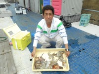 
<p>サビキで良型のサヨリが</p>
<p>タコも引き続き釣れています。</p>
<p>奈良市の山田様、沖の北で、450gまでのタコ　11匹</p>
