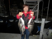 
<p>昨日に引き続き、タチウオ好釣！！</p>
<p>紀州釣りでは2桁釣果が、マメアジは夕方から好釣でした。</p>
<p>和泉市の松原様、沖の北で、42cmまでのチヌ 2匹</p>
<p> </p>
