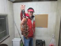 
<p>和泉市の川崎様、沖一文字北で</p>
<p>エビ撒き釣りで、４２cmのアコウ</p>
