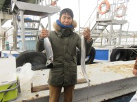 
<p>堺市の森田様、沖の北で、サゴシと103cmの太刀魚</p>
<p>餌どじょう</p>

