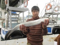 
<p>松原市の林様、沖の北で、103cmの太刀魚</p>
<p>餌どじょう</p>

