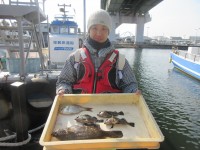 
<p>東大阪市の田道様、沖のカーブで、37cmのカレイ・メバル等</p>
<p>投げ釣り　餌青イソメ・シラサエビ</p>
