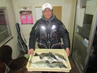
<p>大阪市の雨島様、中波止3番で</p>
<p>オキアミのフカセ釣りで４１．５ｃｍまでのチヌ４匹です！！</p>
