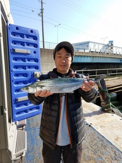 
<p>大阪市の新名様、沖の一文字北で、サゴシ　５８㎝　１匹</p>
<p>のませ釣り　餌アジ</p>
