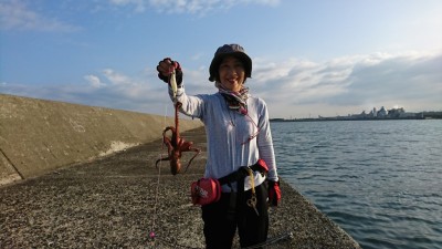 
<p>7時の巡回時に旧一文字3番でタコを釣り上げている人発見！写真撮らせていただきました♪沖の北ではサビキ釣りで小アジが釣れていました。</p>

