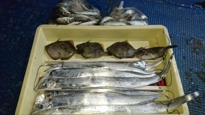 
<p>林様　沖の北　ウキ釣り　タチウオ/カワハギ/アジＧＥＴ</p>
<p>魚種多彩に釣られています(^^♪おめでとうございます</p>
