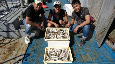 
<p>松下様 田中様 沖の北 サビキで大漁♪小アジ、中サバ、ウルメが釣れていました。</p>
