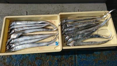 
<p>前田様 沖の北 ドジョウ引き釣りとワインドでタチウオ15匹！明るくなった6時くらいによく釣れたそうです。</p>
