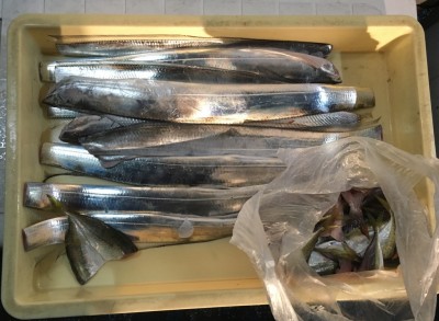 
<p>阪口様　沖の北　ウキ釣り・タチウオ10本　サビキ釣り・小アジ大漁</p>
<p>いつもながら安定した釣果を出されておりますね。「ツ抜け」です♪　タチウオ釣果でスタンプ1個進呈♪</p>
