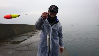 
<p>大山様 沖の北 今日もサビキ釣りで中サバが釣れていました！</p>
