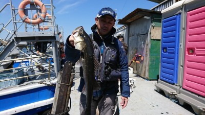 
<p>福山様 沖の北 エビ撒き釣りでハネ60.7㎝！追加です♪今日はほんとによく釣れてますね～。</p>
