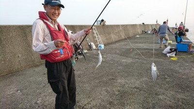 
<p>リアルタイム(6:00) 沖の北内向きで中アジが釣れていました！あいかわらず豆アジと小サバが多いようですが竿下でぽつぽつと釣れていました。タコは7時の時点で南で6杯という人がいました。北は潮が止まっているようで時合い待ちといった感じ。スカリに入っているのは確認できたので釣れてはいるようです。旧は7時半に船を着けた時にちょうど2杯釣れているのを確認できました。やはり潮のタイミングとかで時合いがあるみたいです。潮が動いたタイミングでタコが移動したり、穴から顔を出したりと釣れやすい状況が出てくるんだと思います。潮が動いてない時は大きくポイント移動(同じ一文字の中で)するか、ステイを長くとって釣りのテンポをよりスローにするのがいいと思います。</p>
