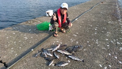 
<p>高野様  中波止  紀州釣り  チヌ～43cmまで14尾GET</p>
<p>流石の釣果ですね！おめでとうございます(^O^)</p>
