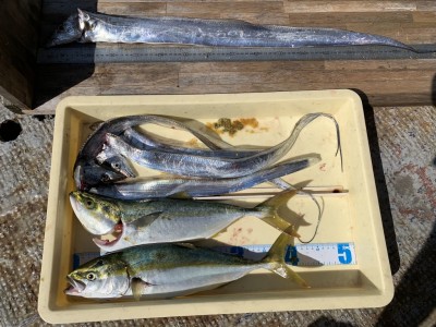 
<p>沖の北 太刀魚・ツバス 太刀魚は朝一テンヤで釣られています♪大きいのは90cm♪おめでとうございます(^O^)</p>
