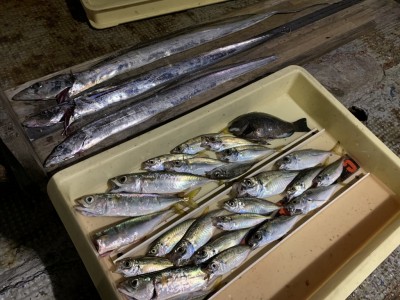 
<p>中野様　沖の北　太刀魚96cm・中アジ・サバ・グレ　太刀魚はテンヤでの釣果です♪太刀魚は全体的に今日は7時前後に釣れている感じがしました(^o^)アジも大量ですね！おめでとうございます♪♪</p>
