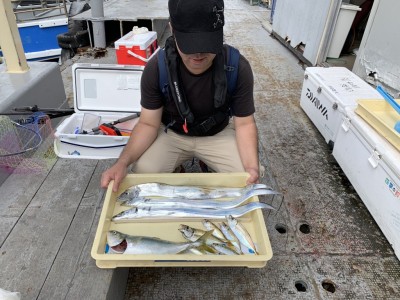 
<p>岡本 様 沖の北 太刀魚・ツバス・中アジ 太刀魚は朝の5時〜6時までにテンヤでの釣果です♪人気ターゲットの魚をしっかり釣られています♪おめでとうございます(^O^)</p>
