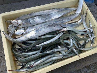 
<p>オオタビ様　沖の北 太刀魚・サヨリ　太刀魚は朝イチウキ釣りで狙ってましたがアタリが全く無くテンヤに変更したところ89cmまでを4本GET♪サヨリは30匹以上釣れてますね♪おめでとうございます(^o^)</p>
