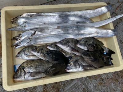 
<p>沖の北　チヌ・グレ・太刀魚　チヌ・グレは紀州釣りで、太刀魚はキビナゴのウキ釣りでの釣果になります♪♪なんと最後の太刀魚は昼の12時頃まで釣れていたとの事です^ ^おめでとうございます(^o^)</p>

