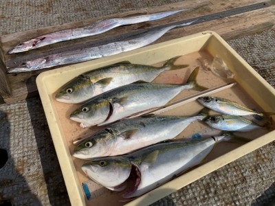 
<p>中山様　沖の北　ツバス〜ハマチ・太刀魚・中アジ　青物はのませ釣りで太刀魚はサンマの切身を使ったウキ釣りでの釣果です♪おめでとうございます^o^</p>
