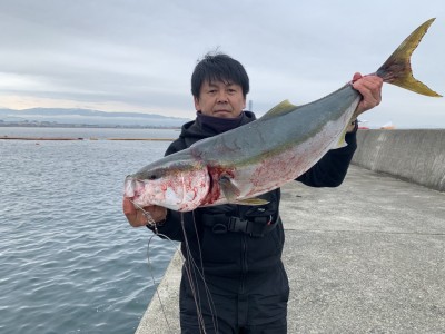 
<p>岸和田市の真鍋様　沖の北リアルタイム　朝の8時半頃にのませ釣りでブリ92cm！7.8kgありました♪体高もある型で20分程格闘されたそうですよ(^o^)おめでとうございます(^o^)</p>
