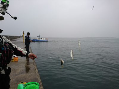 <p>沖の北リアルタイム(6:00) 内向きサビキ釣りで20㎝までのアジが入れ食い状態でした♪やはり雨後荒れ後は釣れますね。</p>