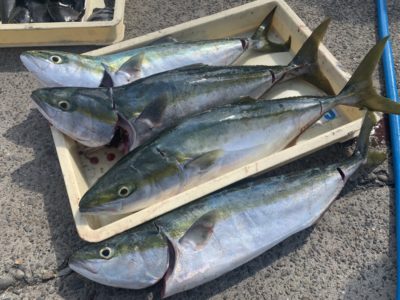 <p>高倉様　沖の北　のませ釣りでメジロ4匹GET^ ^久しぶりでしたが流石の釣果です^ ^</p>