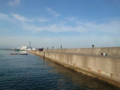 <p>沖の北 今日も足元で豆サバが釣れていました！青物はなかなか厳しいようでした。潮が透けるとどの魚種もあまりいいことないですね…。明日の雨でまた変わってくると思います。</p>