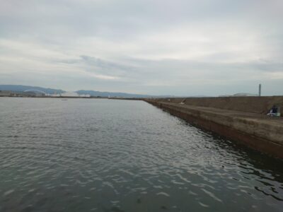 <p>久しぶりの出船。大雨で旧も沖も水潮で白っぽい感じです。底荒れはしてないので泥濁りはなし。タコの釣果も確認できました。状況はそこまで悪くはなってないみたいです。</p>