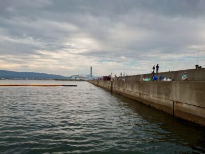 <p>リアルタイム（7時便）沖も旧もかなりきつい苦潮になっています。酸欠のタコや根魚が水面をふらふらと…。エビ撒きはあたりもほとんどないようでした。苦潮なら継ぎ目ってことで狙ってみましたがダメでした。早朝に北の内向きで小アジが少し釣れていましたが、今日はサバがかなり少なめでした。青物も確認できず…。全体的に厳しいようでした。</p>