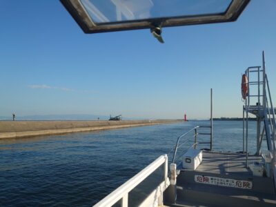 <p>旧一文字が強烈な苦潮になってました。ガシラなど根の魚が水面近くにかなり浮いてます。</p><p>昨日の早朝の北風強風で、大阪湾北部から苦潮が流れてきたようです。昨日は途中から西に風向きが変わったので苦潮が陸側に押しやられた感じ。</p><p>陸側に苦潮が寄ったので、沖の北は苦潮の影響がないようで根魚は全く浮いておらず。壁でもタコはほとんど釣れてませんでした。</p><p>旧の赤灯も壁をやってみましたが釣れず…。苦潮直後すぎてタコが上がってきていないのか…。ん～よくわからん。</p><p>沖でのサビキはいつも通り豆アジ・サバが大漁♪中アジも少し釣れていましたが、サバの猛攻がすごすぎて…。</p><p> </p>