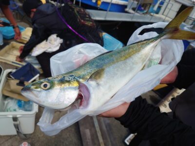 <p>沖の北 ショアジギでハマチ！11時便でもツバスが釣れてるのを見かけました♪</p>