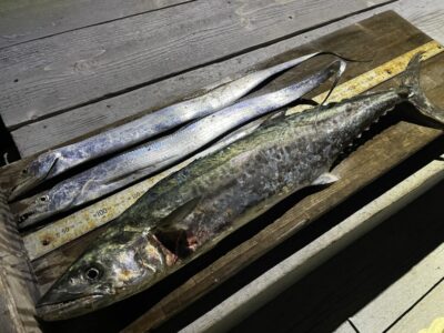 <p>白谷様　沖の北　ショアジギで76cmのサワラと太刀魚2本！！午後からの釣果♪</p>