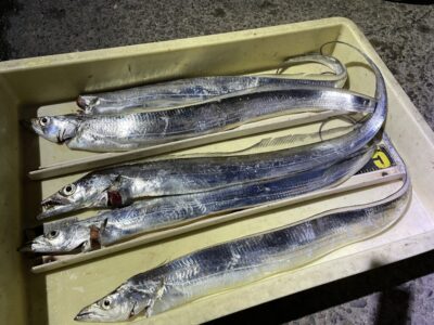<p>ウエヤマ様　沖の北　ウキ釣りで太刀魚5本！！！！</p>