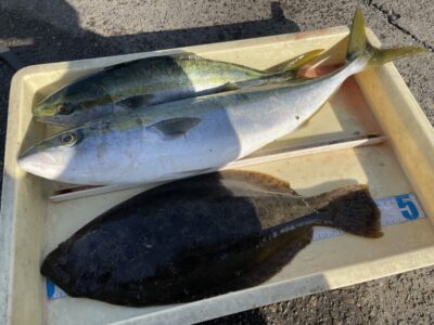 <p>加藤様　沖の北　飲ませ釣りでヒラメ・メジロとショアジギでハマチGET^ ^</p>