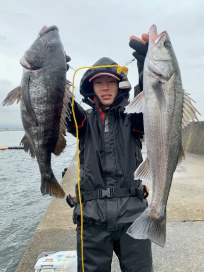 <p>kaiga 様　沖の北　エビ撒き釣り</p><p>ハネ55cm&チヌ42cm🎣　アタリが少ない中の釣果お見事です！！</p>