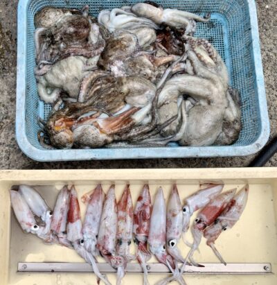 <p>竹村様　沖の北　ケンサキイカ13杯🦑　タコエギでタコ16杯🐙 大漁てす！！</p>