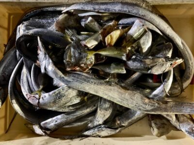 <p>名無し様　沖の北　日中カワハギ🎣　暗くなって〜ワインドでタチウオ大漁🎣　本日は18時頃からタチウオ釣れ始めました。</p>