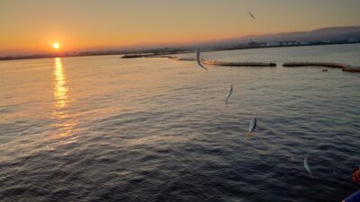 <p>沖の北内向き 豆アジが鈴なりで♪小サバはちょっと減りました。</p>