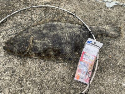 <p>マックススタッフ太枝さん 沖の北内向き 飲ませ釣りで60cmくらいのヒラメ！！！</p>