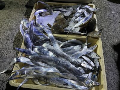 <p>白田様　沖の北　テンヤ(ドジョウ)で太刀魚56本⚔️入れ食いでしたね〜♪♪</p>