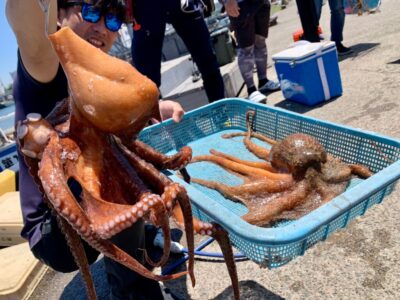 <p>松村名人   沖の北内向き 長竿タコジグでタコ🐙2.1kgと1.2kg！！！流石です♪大ダコハンター♪6時と9時に釣れたそうです。</p>