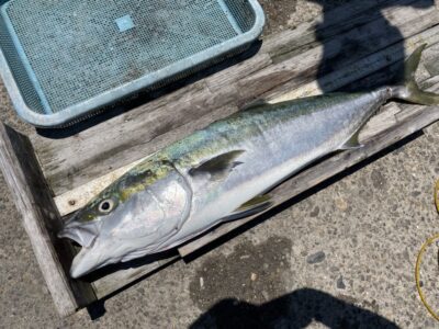 <p>信田様　沖の北　ショアジギでブリ81cm！！！9時ごろにヒット🎣</p>