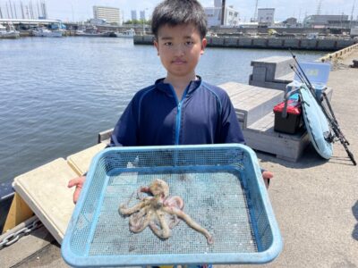 <p>えらひな様　沖の北　タコエギでマダコ🐙</p>