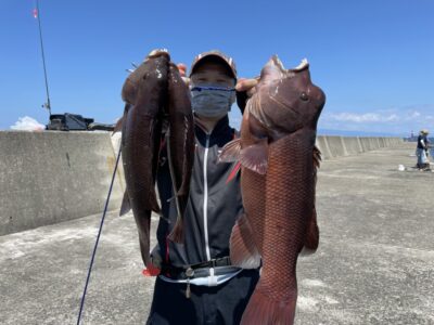 <p>大木様　沖の北　かぶせ釣りでカンダイ×3匹🎣</p>