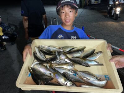 <p>白田様　沖の北　サビキ釣り(竿下)でアジ21cmまで多数🎣18時頃から時合</p>