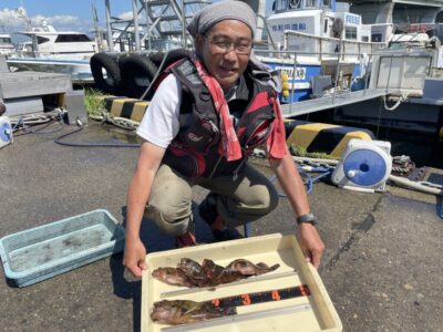 <p>渡辺様　旧一文字赤灯　胴突き探り釣り　ガシラ26cmまで🎣</p>