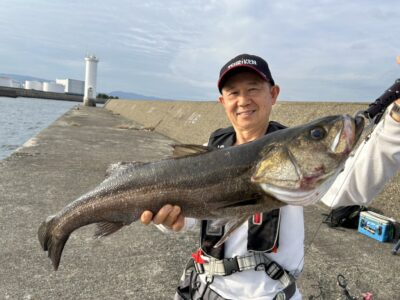 <p>川原様 旧一文字白灯外向き エビ撒き釣りでハネ75cm！久しぶりの良型♪ハネも戻ってきてようやく秋って感じです。</p>