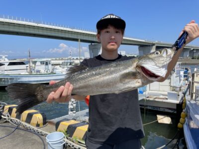 <p>真鍋様　沖の北　飲ませ釣りでスズキ70cm🎣</p>