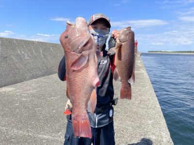 <p>大木様　旧一文字赤灯　かぶせ釣り(アケミ貝)でカンダイ×2匹🎣</p>