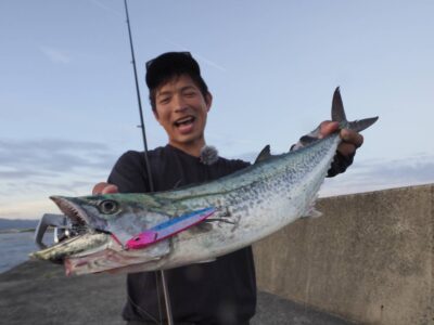 <pre>ダイワ テスター 松永昌己様　沖の北　サゴシ
6時頃に中層のワンピッチジャークでヒット🎣
ヒットルアーはサムライジグR40g♪♪</pre>